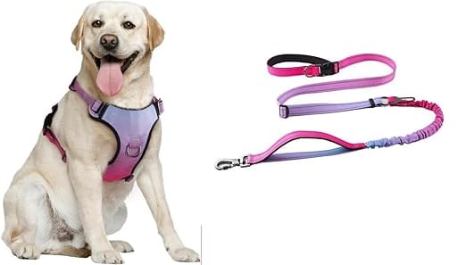 BlingPets No Pull Oxford Fabric Reflective Breathable Dog Harness with Matching Hands Free Multifunction Leash,Stylish & Modern (Gradual Pink, Large)