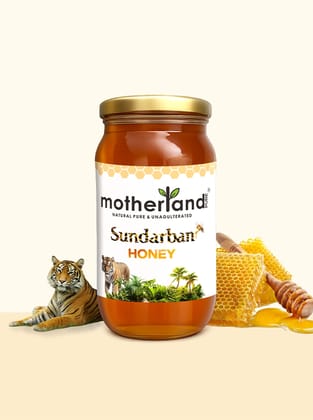 Motherland Pure Pure Sundarban Honey ( 500 gm ) | 100% Natural & Unprocessed | Daily Wellness