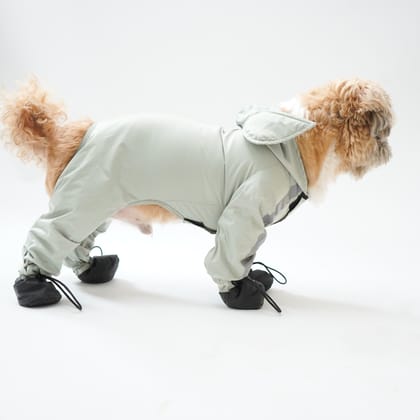 Foxy Full Coverage Raincoat (without paw covers)-sea Green / S