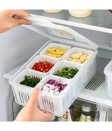 NCMART Fridge Container Polyproplene White Multi-Purpose Container ( Set of 1 )