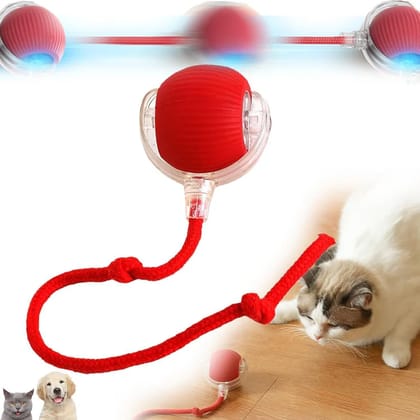 Viral Rolling Ball,Interactive Cat Ball Toy Viral Rolling Ball,Interactive Cat Ball Toy