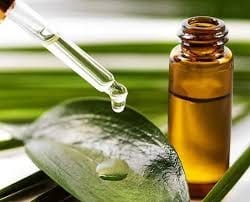 Tea Tree Floral Hydrosol
