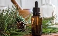 Himalayan Pine Hydrosol