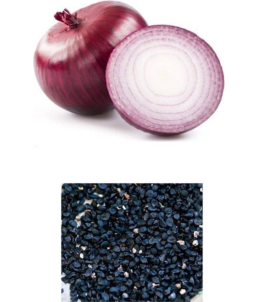 OLD STORE RED ONION 200 SEEDS PACK WITH INSTRUCTION MANUAL