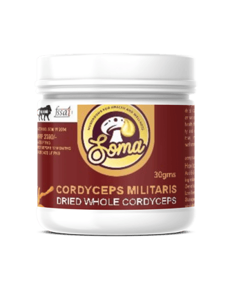 SomaShrooms Cordyceps Whole Dried