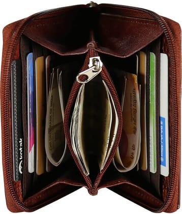 STYLE SHOES Zip Maroon Travel Card Holder