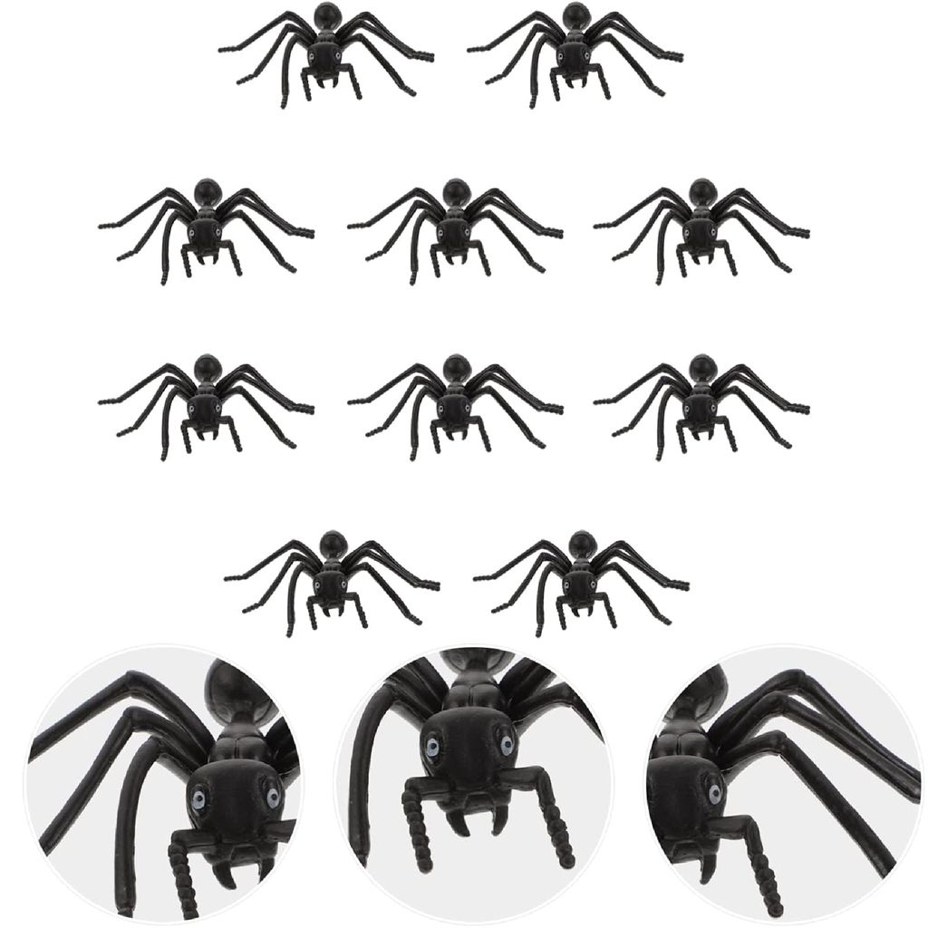 Fake Ants Black 2" - 12PC - Party and Festive Needs | Buy online on ZillyBuy