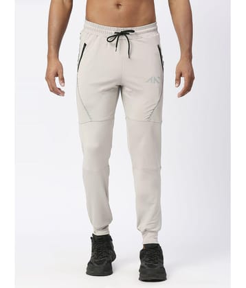Aesthetic Nation - Light Grey Polyester Men's Joggers ( Pack of 1 ) - None