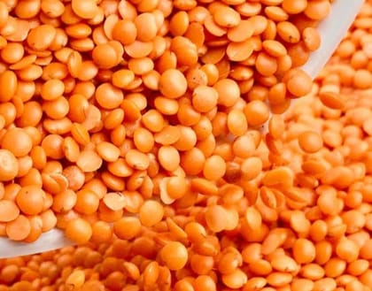 Masoor dal