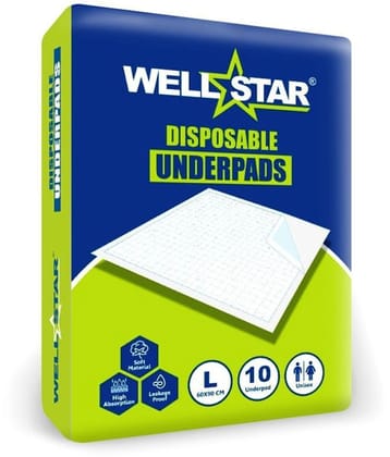 Wellstar Large 10 Pcs Pack of 1