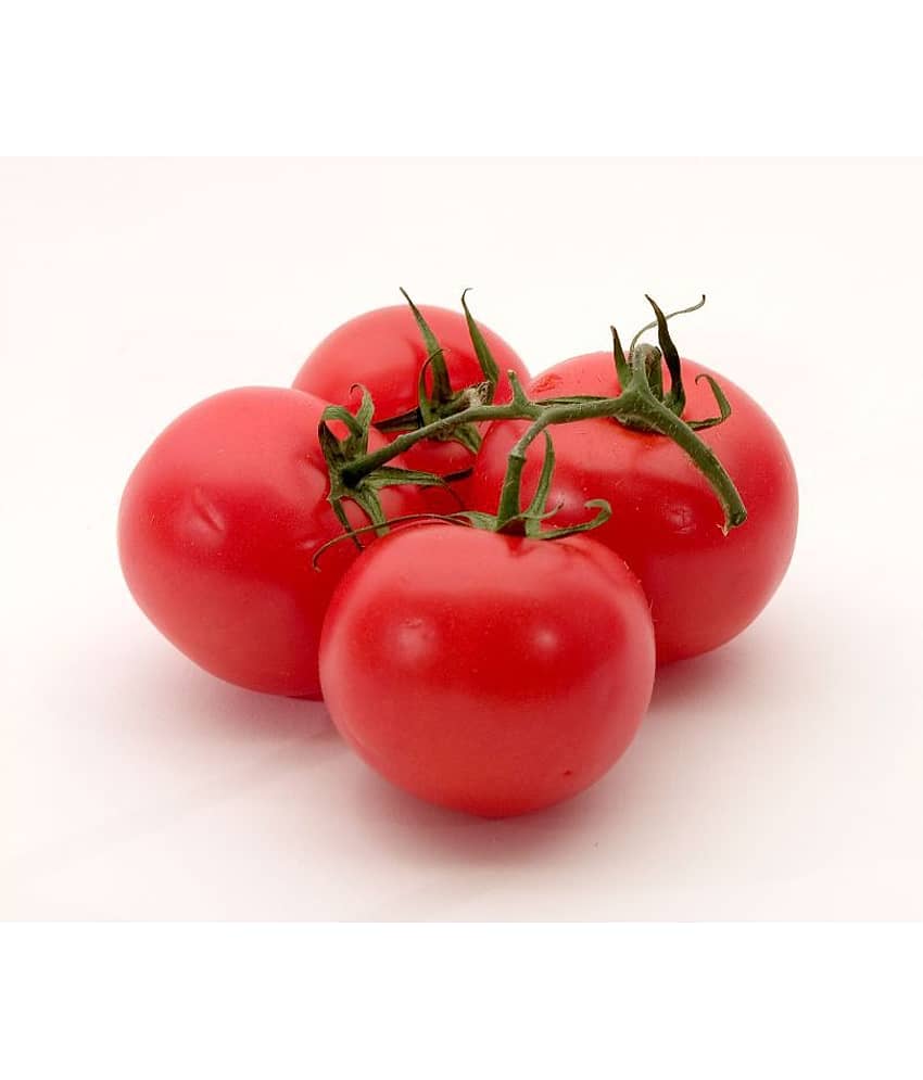 Iris Hybrid Vegetable Seeds Tomato with Instruction Manual