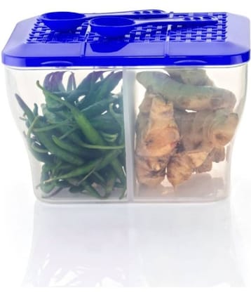 MAGICSPOON Plastic Blue Multi-Purpose Container ( Set of 1 )