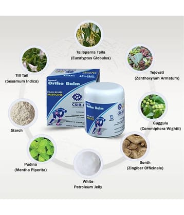Deemark Ortho Balm for Joint Pain, Back Pain, Knee Pain, Shoulder Pain. Deemark Ortho Balm Pack of 5 Highly Effective for All Type of Joint and Muscle Pain