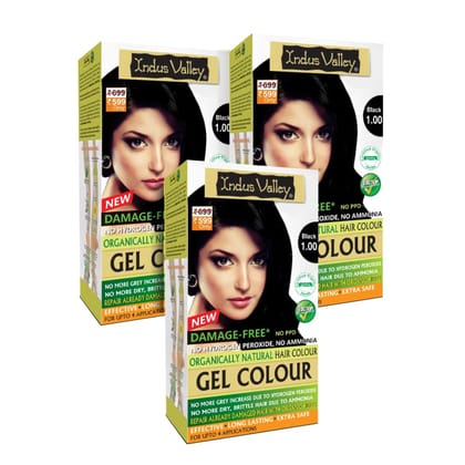 INDUS VALLEY Damage Free Natural Gel Hair Colour For Women|Ammonia & Ppd Free Organic Hair Colour With 100% Grey Coverage, Long Lasting Conditioning Hair Color|Black 1.0-Pack Of 3 (3X220 = 660 Ml) INDUS VALLEY Damage Free Natural Gel Hair Colour For Wome