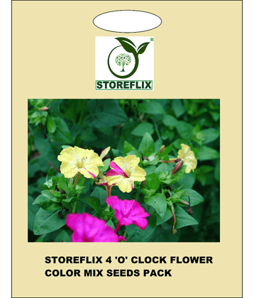 4'o' clock flower 30 seeds pack with free cocopeat and user manual