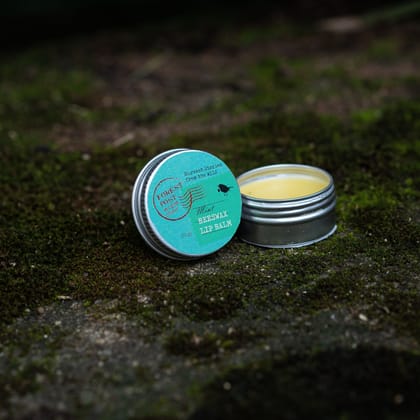Mint Beeswax Lip Balm (10 Gram) (1TOROTHTN03191)
