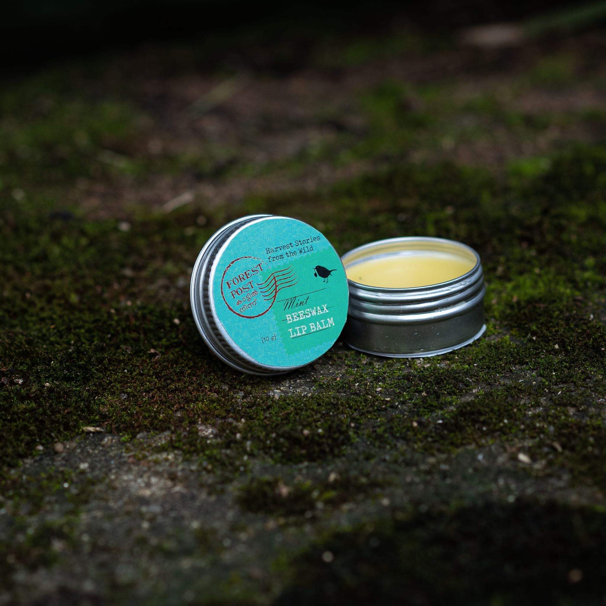Mint Beeswax Lip Balm (10 Gram) (1TOROTHTN03191)