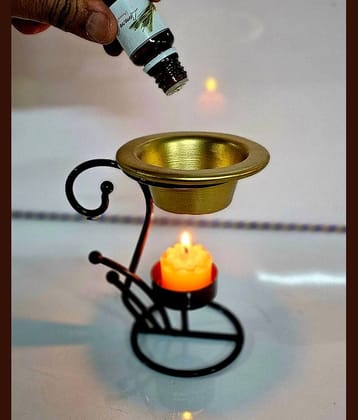 R.R.V. International Brass Aroma Oils & Diffusers Set - Pack of 1