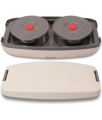 Jaypee Plus Hotpot Lunch Box Stainless Steel Electric Lunch Box 2 - Container ( Pack of 1 )