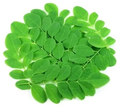 Moringa Leaves - Shevga Patta - Approx 250gm