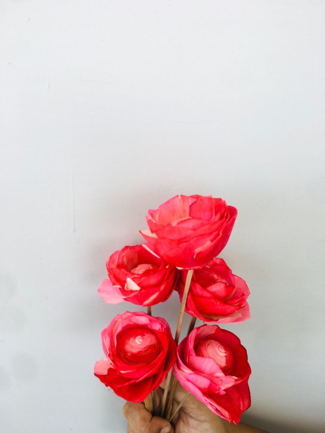 Ombre Pink Sola Flower (5pcs)