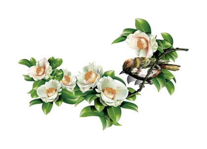 DreamKraft Beautiful White Flower with Birds Wall Sticker (Multicolor PVC Vinyl 79 cm X 48 cm)