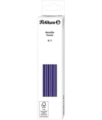 B Graphite Pencils Box of 12'S)