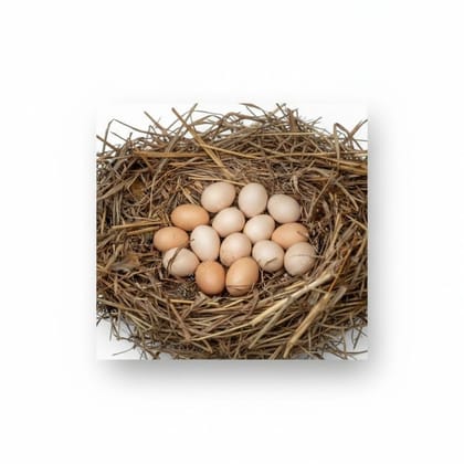 Fresh Farm Eggs - 10 kg - One carton of fresh farm eggs