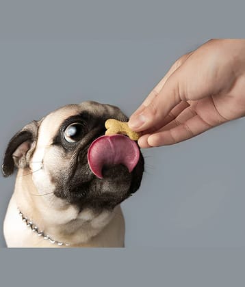 super chain Treat Dog Food Only Chicken for All ( 1 Kg )