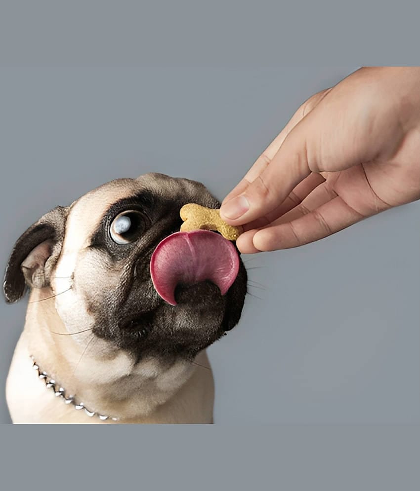 super chain Treat Dog Food Only Chicken for All ( 1 Kg )