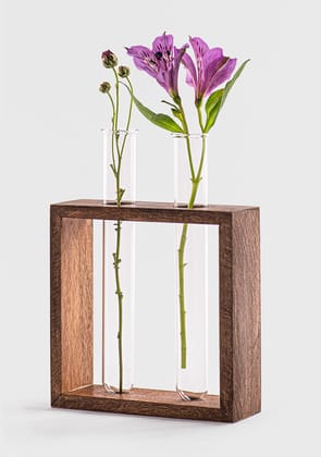 Twin Test Tube Planter with Wooden Stand