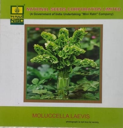 NSC Molucella Laevis Seed - 5gm