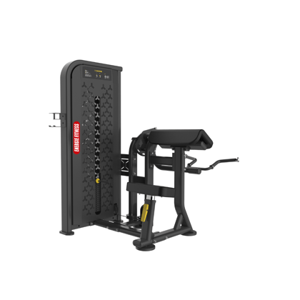 Premium Quality Bicep Curl Machine HM-06