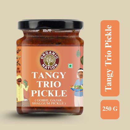 Organic Nation Gobhi Gajar Shalgam Pickle | Tangy Trio | Homestyle Indian Pickle | Authentic Traditional Taste | No Preservatives | 250g