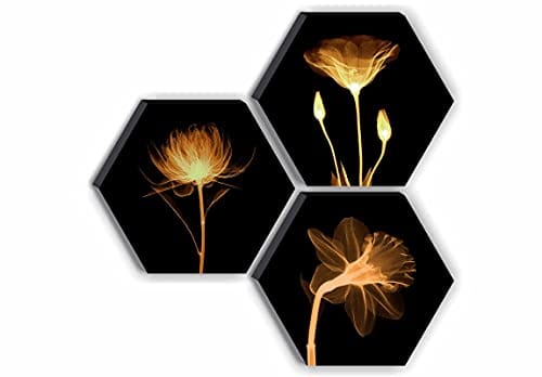 Set of 3 Hexagon Preety Brown Floral UV Textured MDF Home Decorative Gift Item Painting 17 Inch X 17 Inch