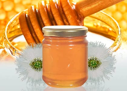 Eucalyptus Honey   250 G