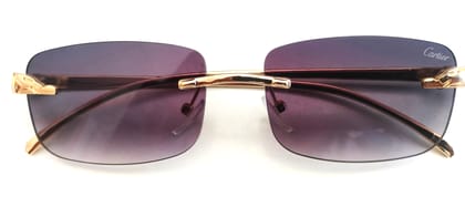 Unisex Cartier Sunglasses