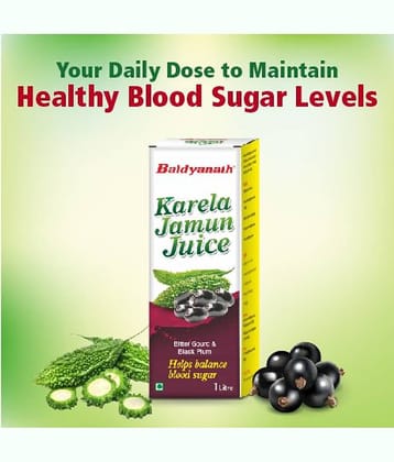 Baidyanath Karela Jamun Juice 1 Litre
