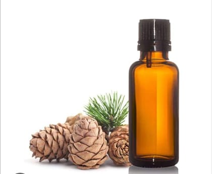 Cedar wood Hydrosol Extract (100gms)