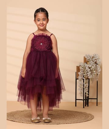 Toy Balloon Kids Net Dress For Girls ( Pack of 1 , Purple )
