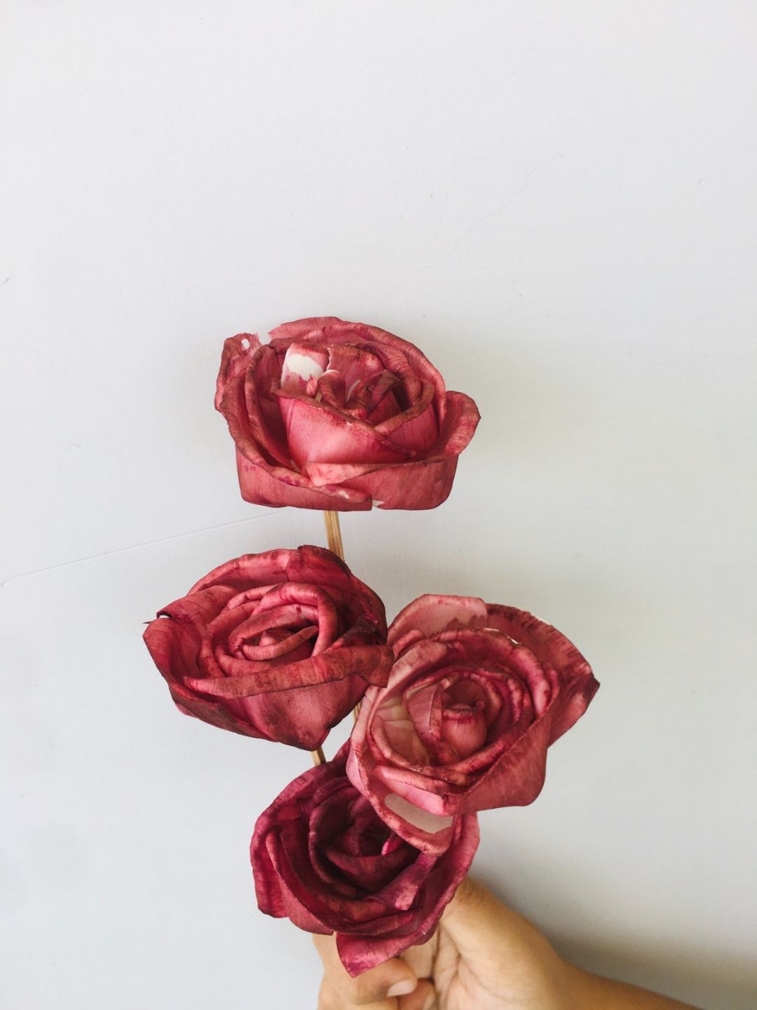 Ombre Wine Sola Flower (5pcs)