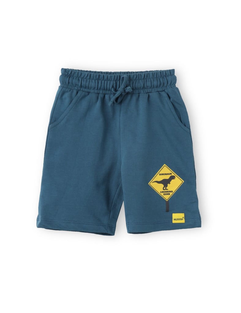 Premium Kids Boys Shorts Cotton French Terry Blue Coral Dino Crossing Zone 2025 at ShopCircuit |