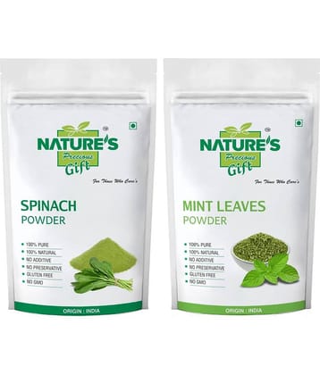 Natures Gift Spinach Powder, Coriander Powder, Curry Powder & Mint Powder - 100 GM Each Powder 100 gm Pack of 4