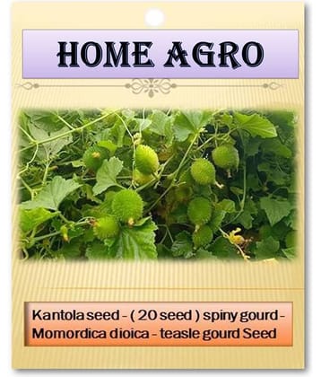 homeagro - Vegetable Seeds ( 20 )