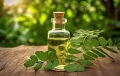 Moringa Hydrosol