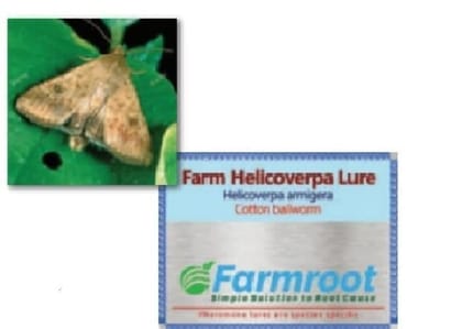 FARM HELICOVERPA LURE WITH FUNNEL TRAP -PACK OF 5 FARM HELICOVERPA LURE WITH FUNNEL TRAP -PACK OF 5
