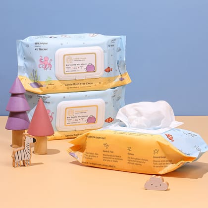 Big Soothe Wet Wipes-1P