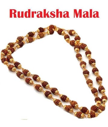 MTV 5 Mukhi Rudraksha/Rudraksh Mala With Gold Plated Cap - Pack of 1