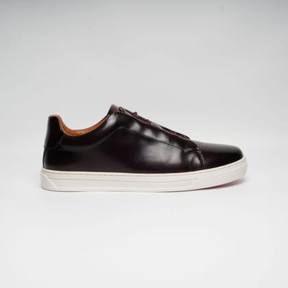 ZOL II - BROWN-9