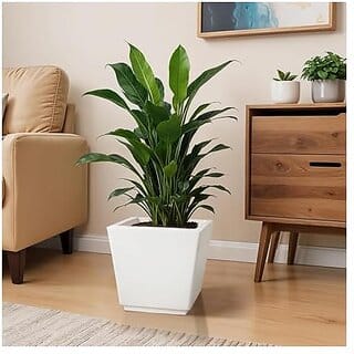 De Gardenia Pots and PlantersSize of GK 12 14 16 InchPack of 3 Pots for Plants Highly Durable Polymers Lightweight Indoor Outdoor Plant Pots (14 Inch(GK14) White)